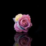 Tarot tuần 08/06 – 14/06/2026: Năng lượng thay đổi và trưởng thành