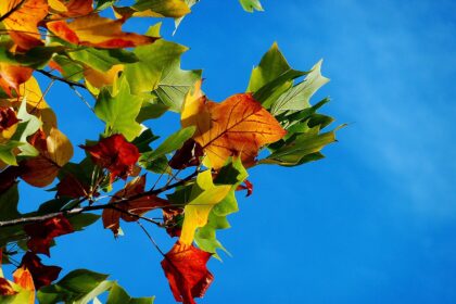 Người phụ nữ ngồi thiền dưới ánh nắng, tượng trưng cho việc buông bỏ điều không kiểm soát và tìm thấy sự bình yên.