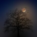 Tarot tuần 13/07: Thông điệp 7 ngày qua 7 lá bài