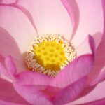 Người Thiên Bình trầm tư, suy nghĩ về điểm yếu của Thiên Bình