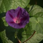 Người phụ nữ ngồi nhìn ra cửa sổ, gợi cảm giác buồn bã nhưng cũng đầy suy tư sau chia tay. Hình ảnh này ẩn dụ cho việc chia tay không phải thất bại, mà là khoảnh khắc chiêm nghiệm.