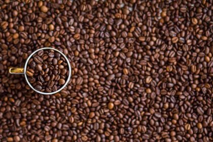 Cách kết bạn tuổi 30+: Lập lại vòng tròn xã hội ý nghĩa và đánh tan cô đơn