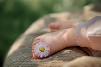 14 ngày chữa lành cô đơn: Lộ trình làm bạn với chính mình và tìm thấy bình yên