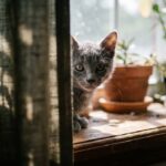 ảnh minh họa người đang xây kết nối lành mạnh không vội gán nhãn, cảm thấy bình yên và chân thật