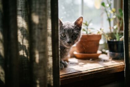 ảnh minh họa người đang xây kết nối lành mạnh không vội gán nhãn, cảm thấy bình yên và chân thật