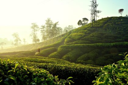 Kỹ thuật ‘grounding’ 5 giác quan: Cách kéo mình về hiện tại khi lo sợ