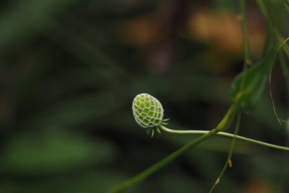 Một người đang thực hành tự trắc ẩn, đặt tay lên ngực với vẻ mặt bình yên.